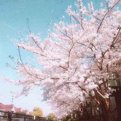 东方lostword日服下载