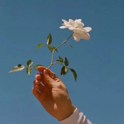闹闹天宫手游蓝港版下载